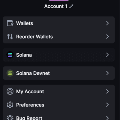 Add Solana Devnet — Solana Devnet now appears alongside Solana in your settings — the L1 side is ready.